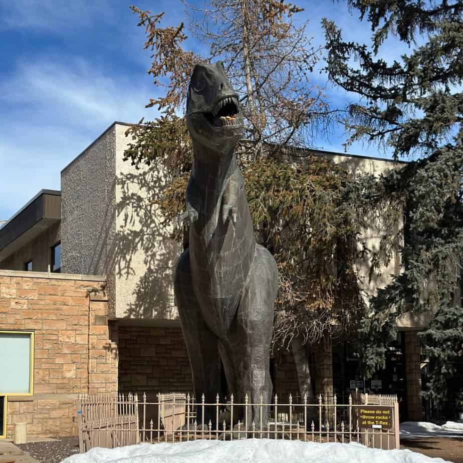Discovering a charm-filled statue of a t-rex in front of the University of Wyoming.